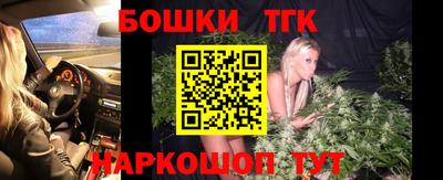 прущие крисы Аргун