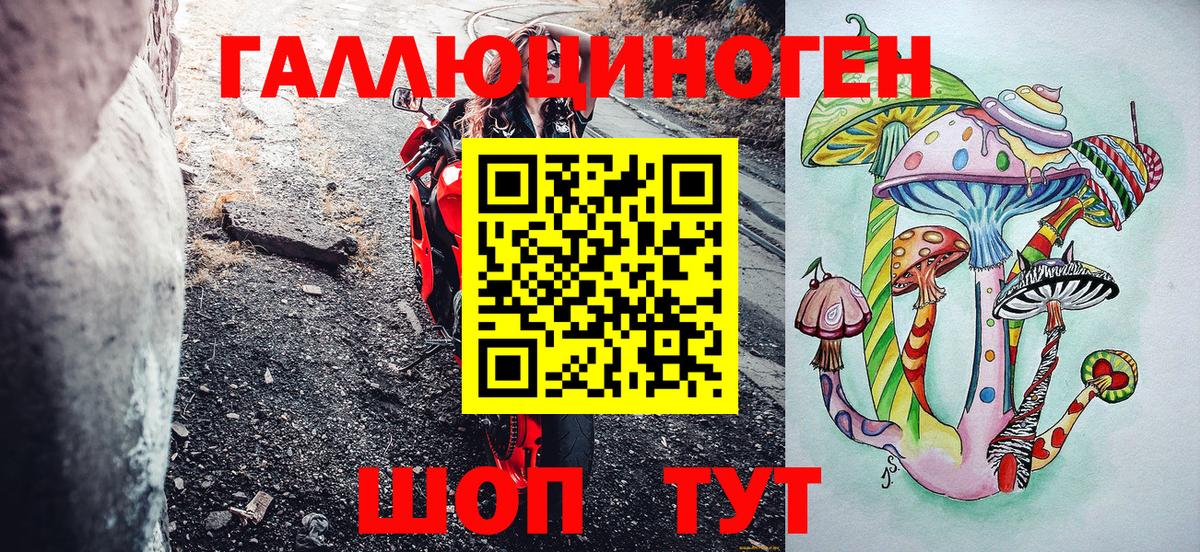 Псилоцибиновые грибы GOLDEN TEACHER  как найти закладки  Галлюциногенные грибы мухоморы  Владивосток  Вход с VPN 